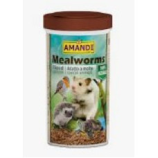 Mealworm Snack Mealworm Snack